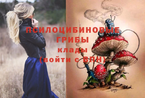 молекула духа Кулебаки