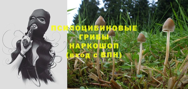 герыч Кукмор