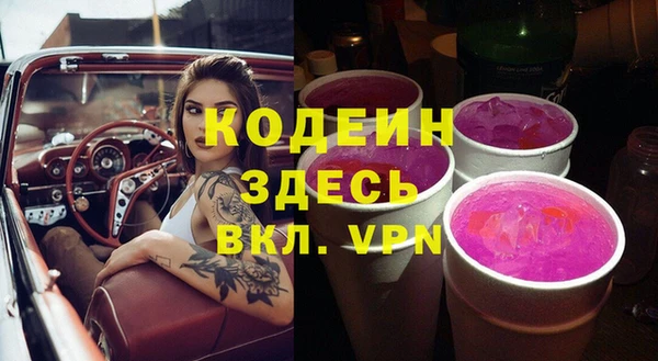 молекула духа Кулебаки