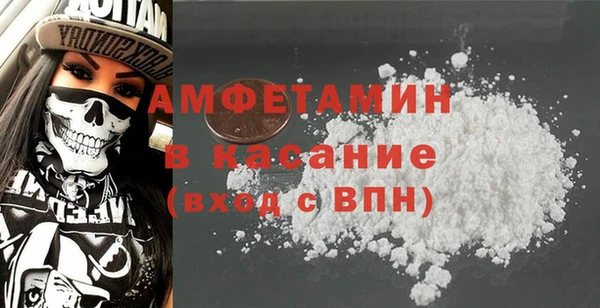 молекула духа Кулебаки