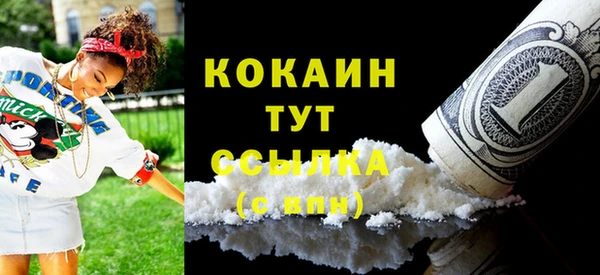 молекула духа Кулебаки